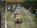 MRSL 3648